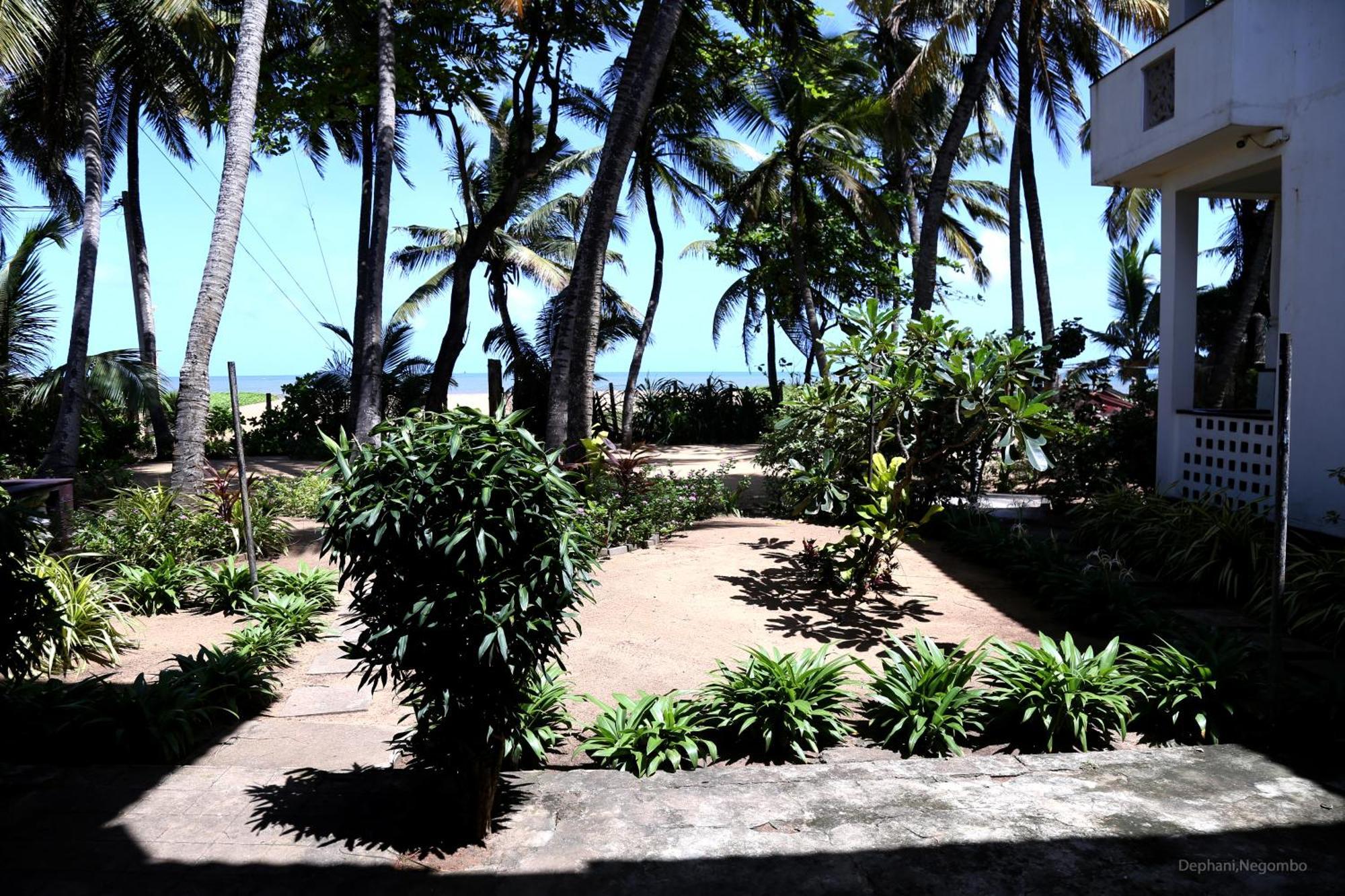Dephani Beach Hotel Negombo Exteriör bild